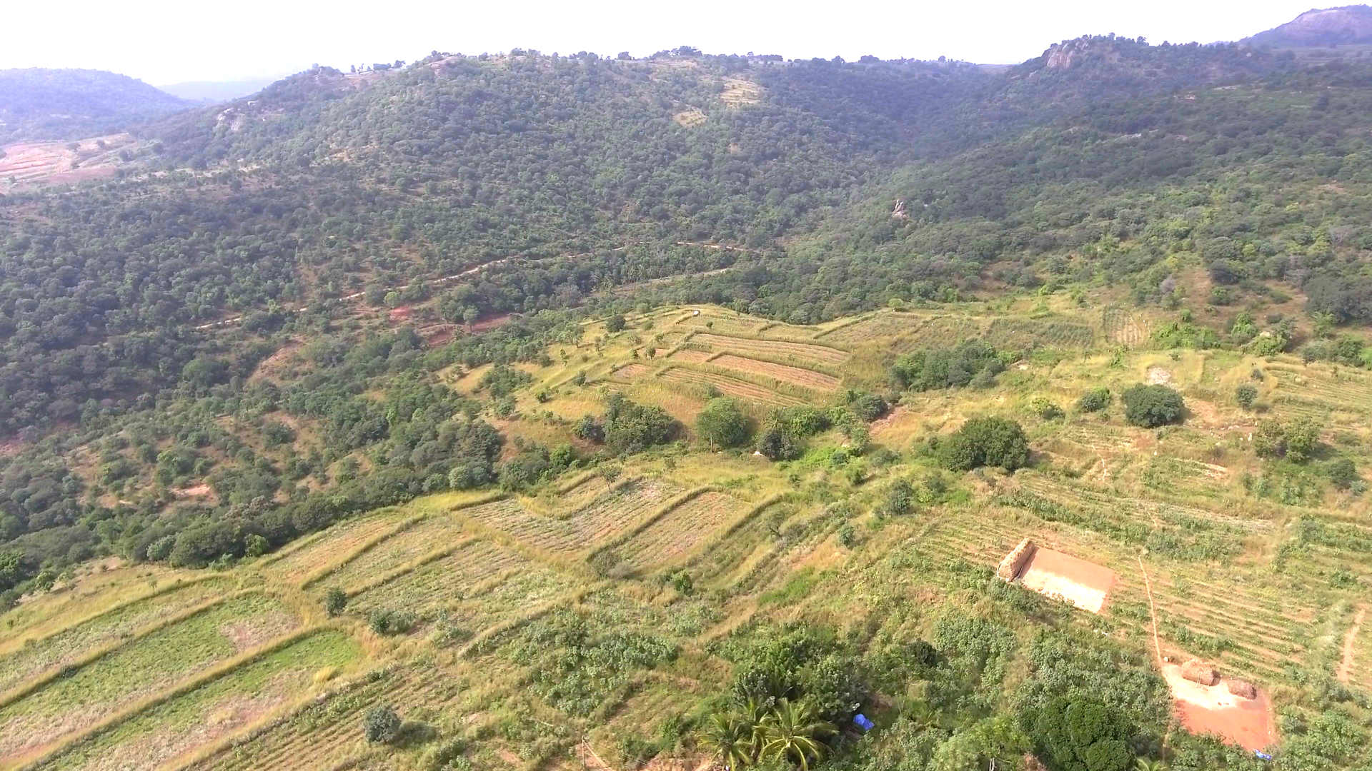 Krushi Grama - Gallery