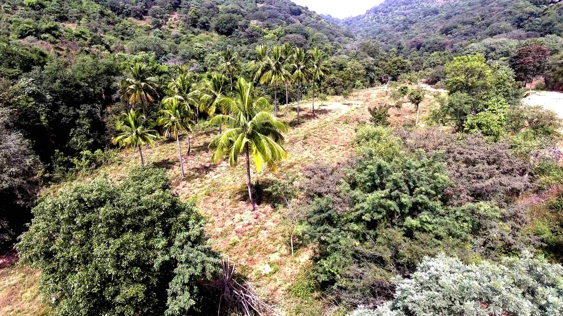 Krushi Grama - Gallery