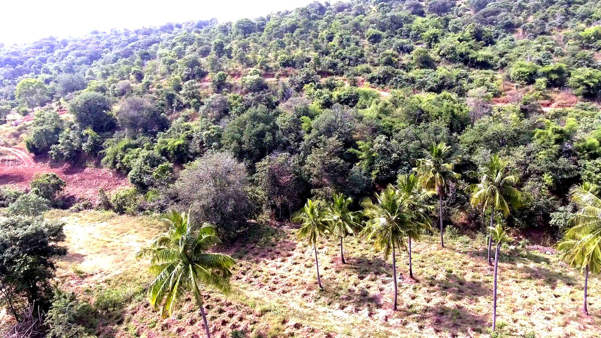 Krushi Grama - Gallery